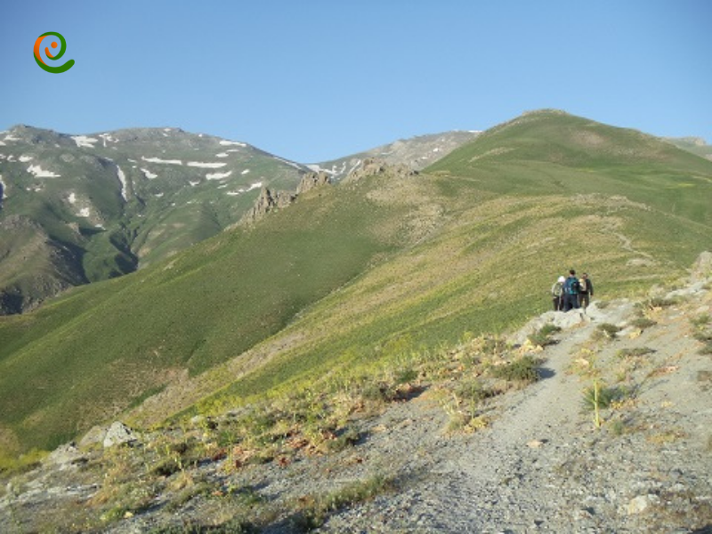 قله زلیخا بلندترین کوه استان کردستان که در طرح سیمرغ قرار دارد را در دکوول بخوانید.